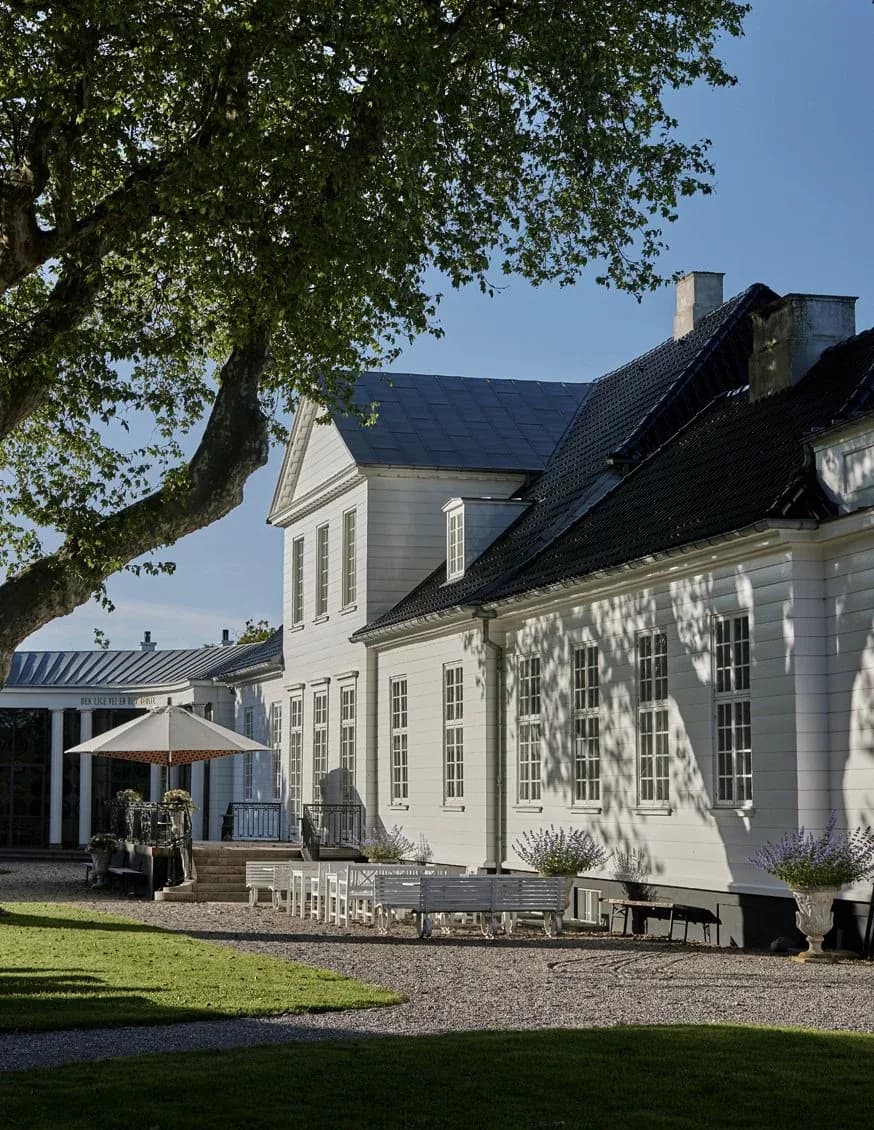 AI Sommerakademi
